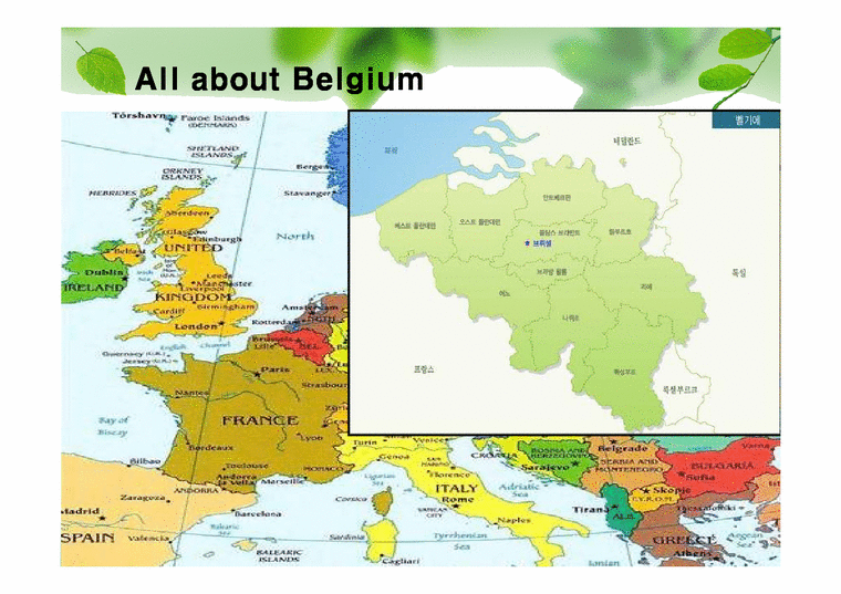 유럽지역론  벨기에 국가 분석-4페이지