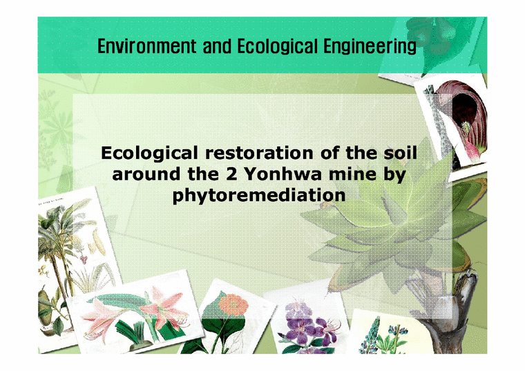 생태공학 Phytoremediation을 이용한 제2연화광산 주변 오염지역 토양의 생물학적 복원 설계(영문)-1페이지