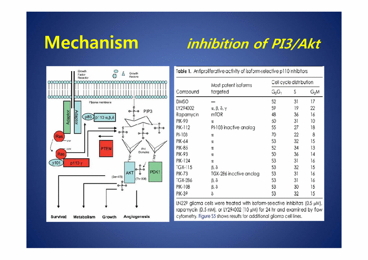약품분자생물학  PI-103 which inhibits both PI3 kinase & mTOR in malignant glioma-4페이지