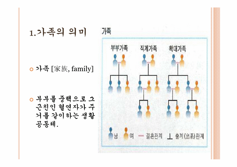 현대 가족에서의 역할변화 - 사회과학