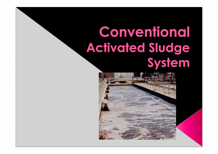 환경공학  활성슬러지(Conventional Activated Sludge System) 공정(영문)-1페이지