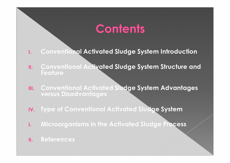 환경공학  활성슬러지(Conventional Activated Sludge System) 공정(영문)-2페이지