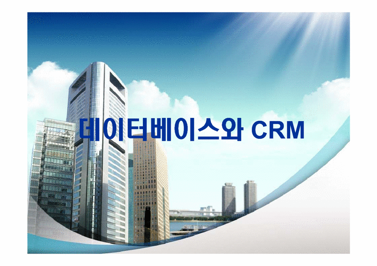 경영정보시스템  데이터베이스와 CRM-1페이지