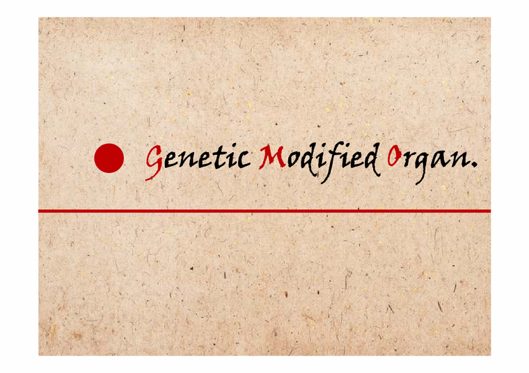 환경보건학  유전자 조작 식품(GMO-Genetic Modified Organ)에 대하여-1페이지