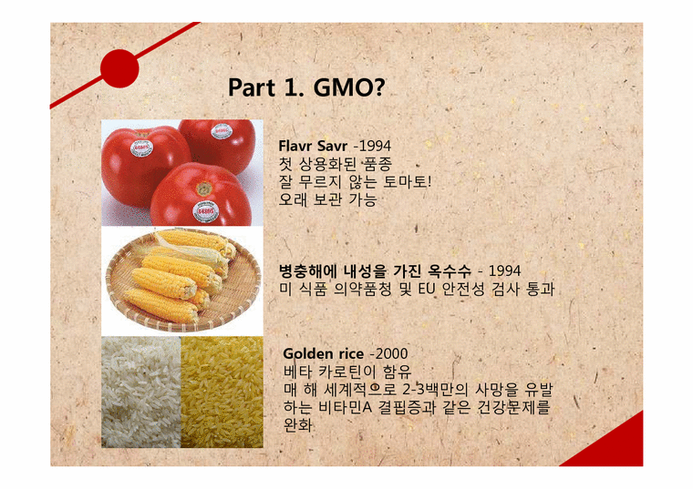 환경보건학  유전자 조작 식품(GMO-Genetic Modified Organ)에 대하여-4페이지