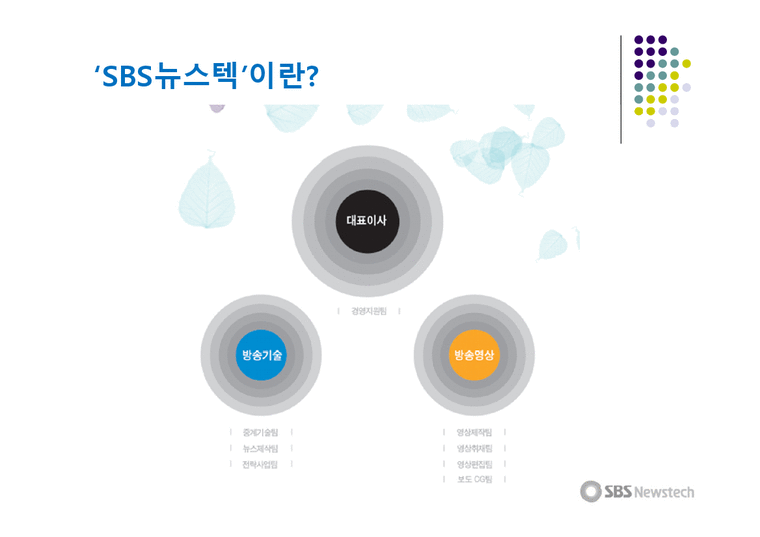 신문방송학  SBS뉴스텍 분석 보고서-3페이지