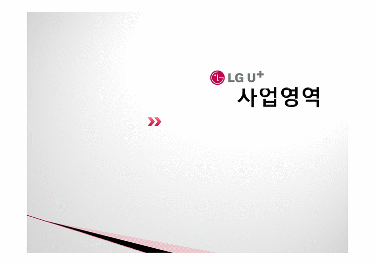 경영학  LG텔레콤 기업분석  LG유플러스 경영전략-2페이지
