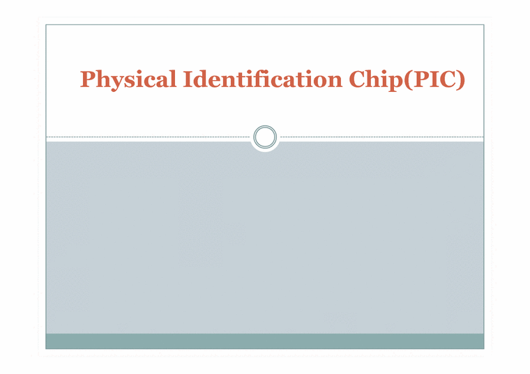 MIS Physical Identification Chip(PIC)사업 현황(영문) - 경제경영