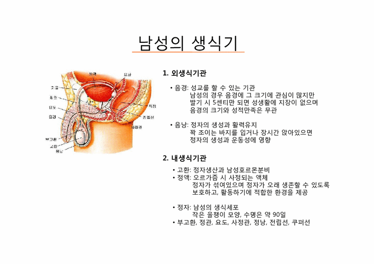 성심리와 성건강 제5장 성의 해부학 - 의약학