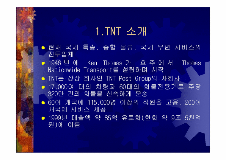 국제물류  TNT 향후발전전략-3페이지