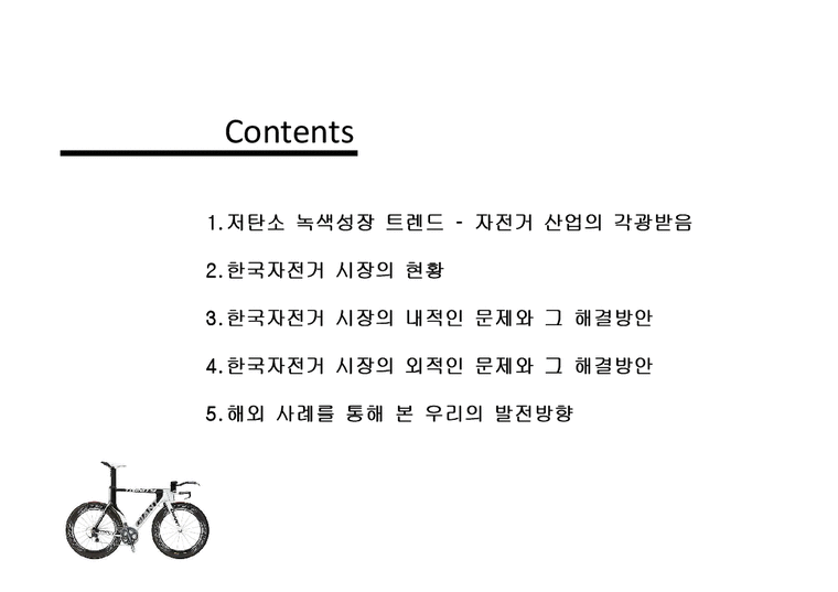 한국자전거 시장의 문제점과 해결방안-2페이지