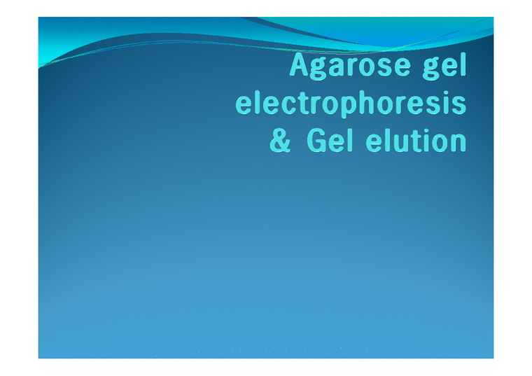 미생물  아가로스겔전기영동(agarose gel electrophoresis) ＆ Gel elution-1페이지