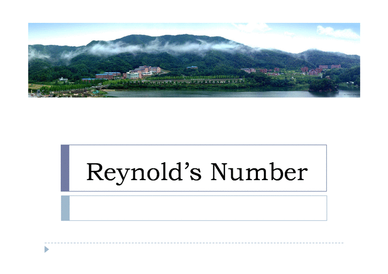 레이놀즈수(Reynold`s Number)-1페이지