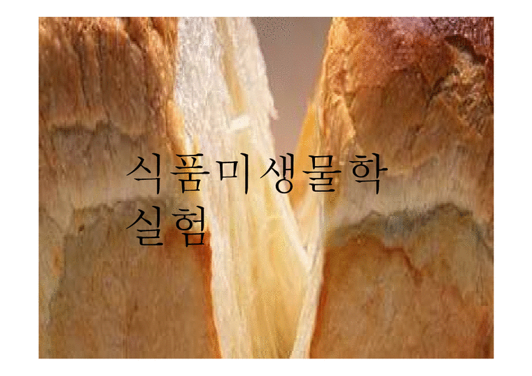미생물학  식품 미생물학 실험-유산균 첨가된 빵의 제조-1페이지