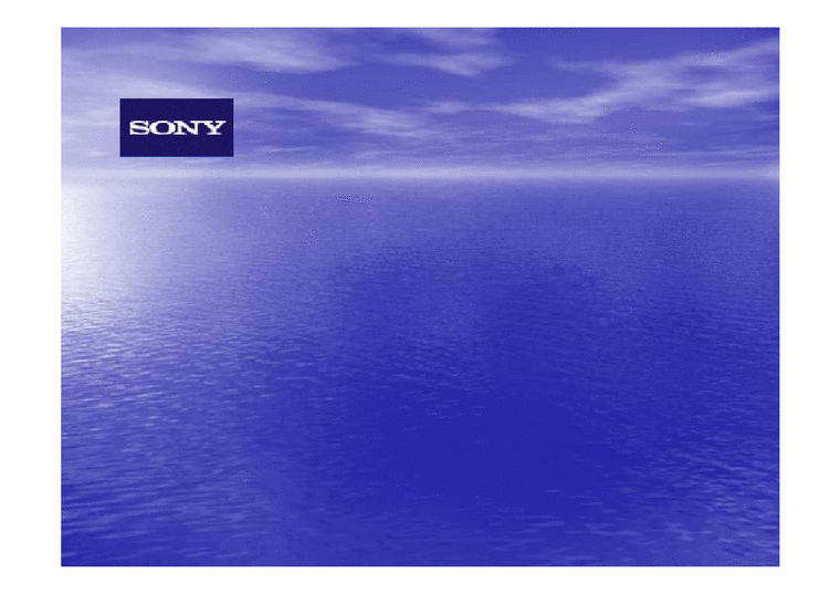 국제전략  Sony 소니 글로벌전략-1페이지