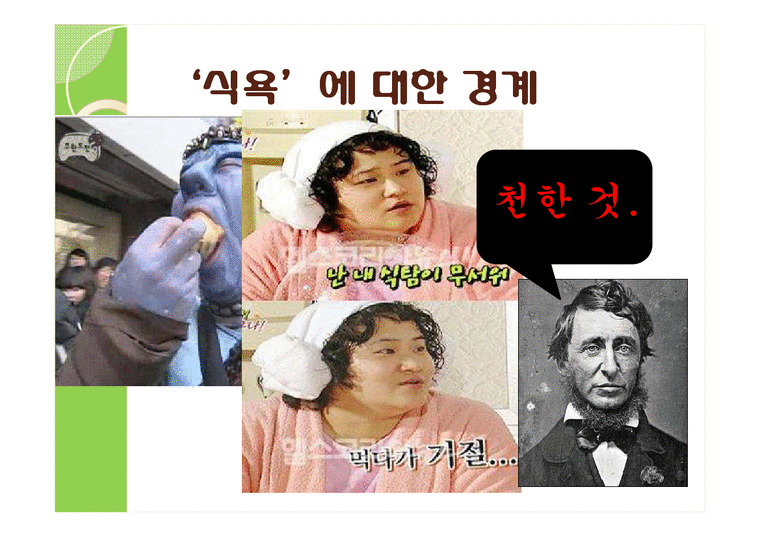 미국사회문학 `Walden` Higher Laws & Spring 작품분석 인문/교육