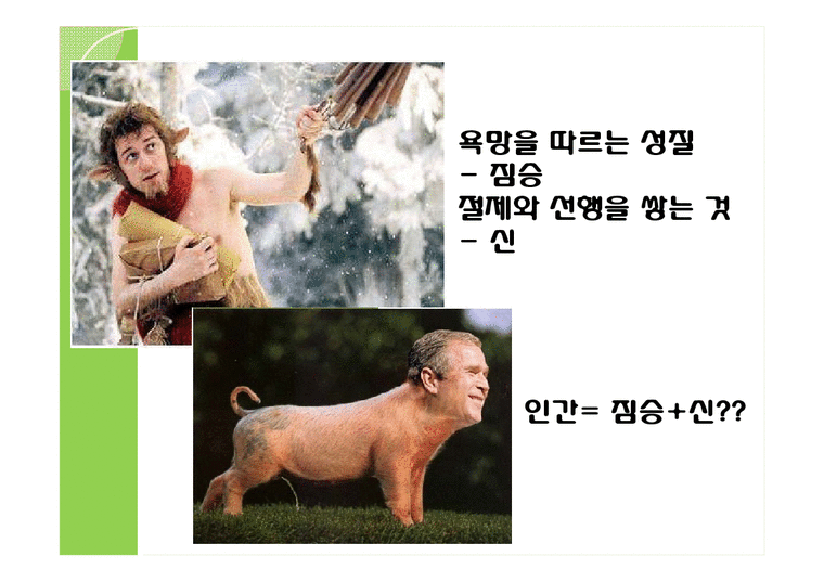 미국사회문학 `Walden` Higher Laws & Spring 작품분석 인문/교육