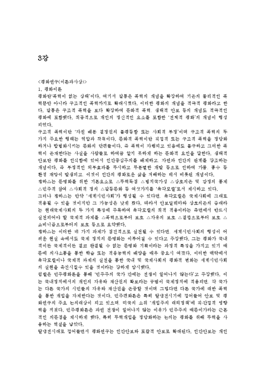 제주대학교 평화학입문-4페이지