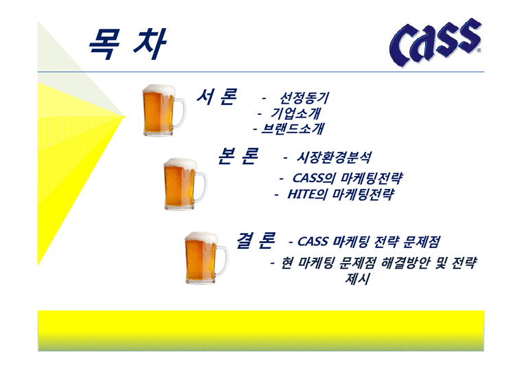 카스맥주  Cass 맥주 마케팅전략-2페이지