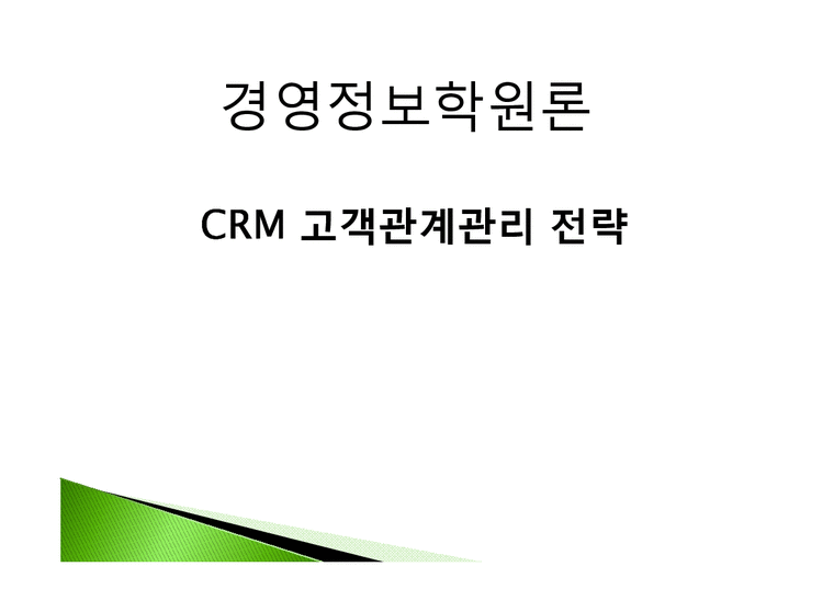 경영정보  CRM 고객관계관리 전략-1페이지