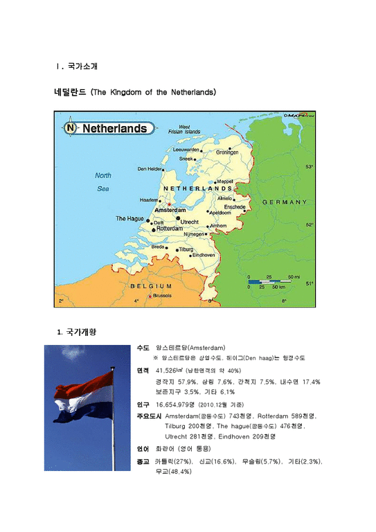 해외투자론  네덜란드 해외직접투자 FDI-4페이지