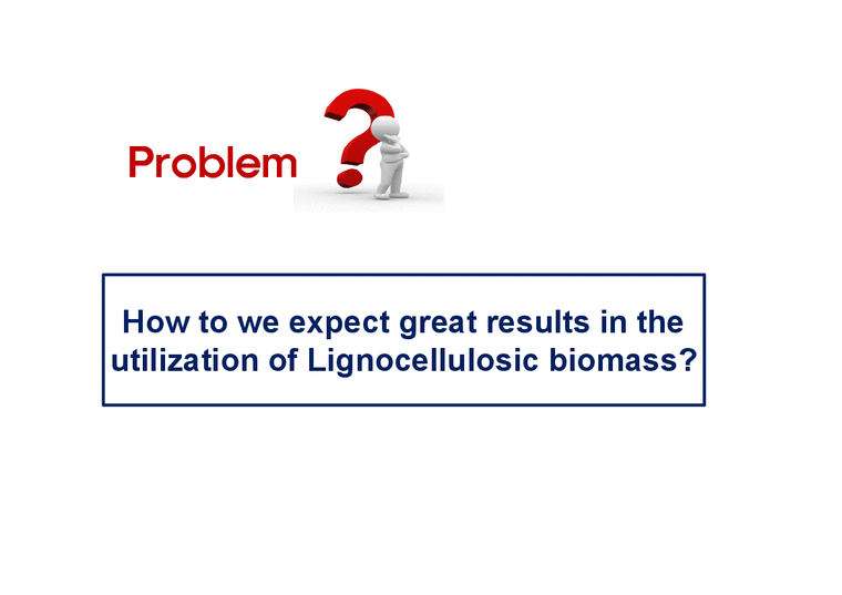 생물공학  목질 자원(lignocellulosic biomass)의 활용방안(영문)-3페이지