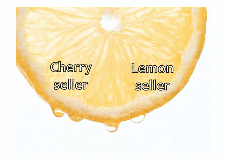 경제학 레몬이론(Lemon market theory)(영문) - 경제경영