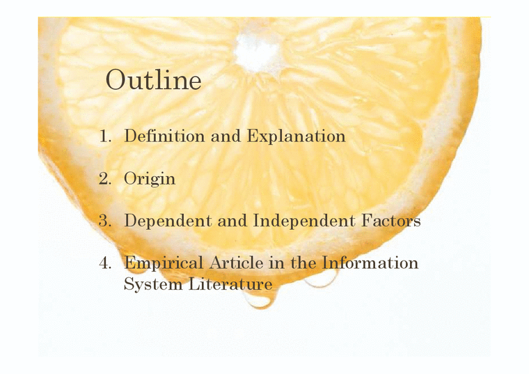 경제학 레몬이론(Lemon market theory)(영문) - 경제경영