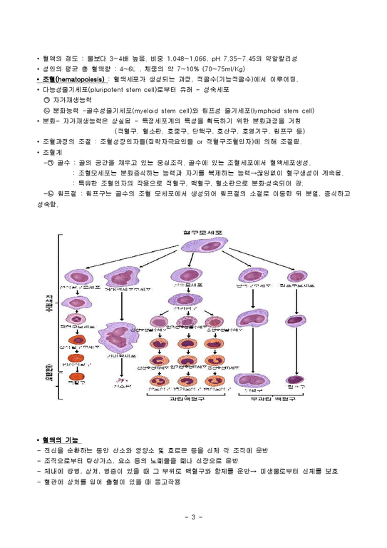 혈액의 구조와 기능 - 의약학