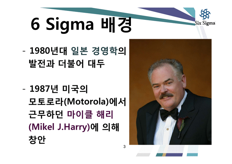 6SIGMA 식스 시그마 개념 및 이해  사례 - LG-3페이지