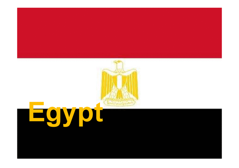 국제매너  이집트의 문화와 매너-1페이지