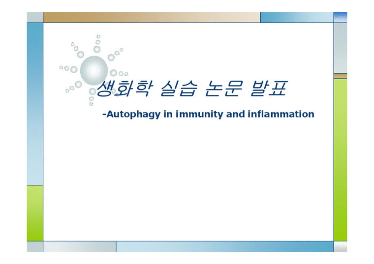 생화학  면역  염증질환과 자가포식(Autophagy)-1페이지