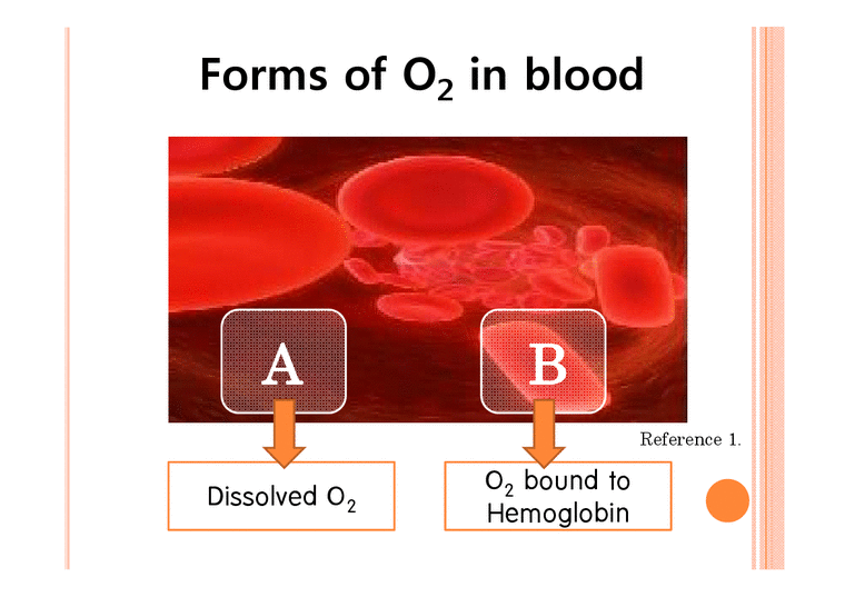 분리공정  혈액속 산소의 구조 분석(영문)-3페이지