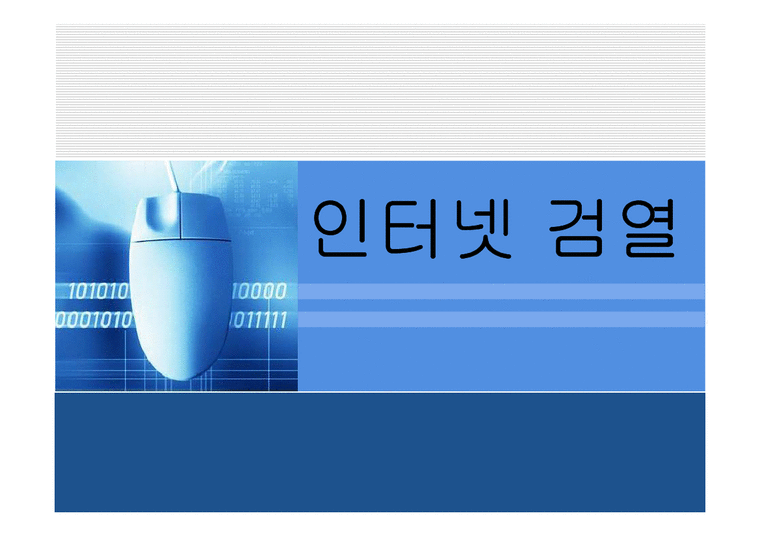 신문방송학  우리나라 인터넷 검열 실태 조사-1페이지
