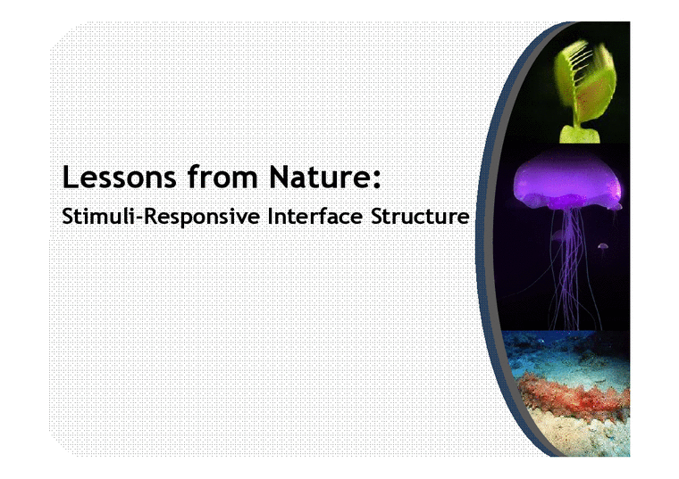 공학  Stimuli-Responsive Interface Structure(영문)-1페이지