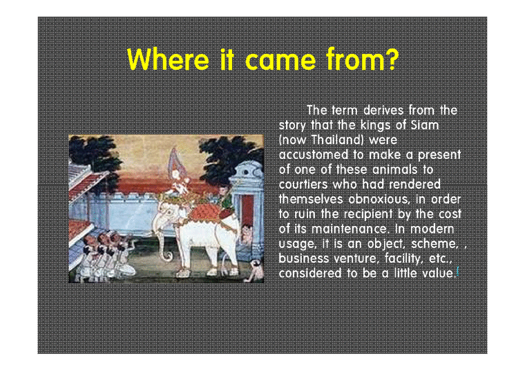 white elephant에 대하여(영문) 기타