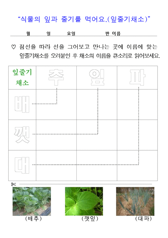 텃밭(채소)프로젝트 교육계획안  뿌리채소  열매채소  잎줄기채소  주제선정의이유  주제망  주요개념  창의활동지-4페이지