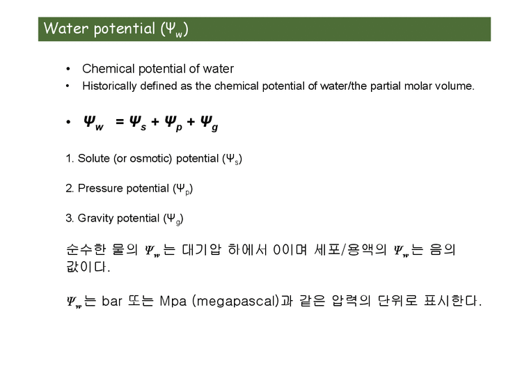 Exp. I. Water potential-4페이지