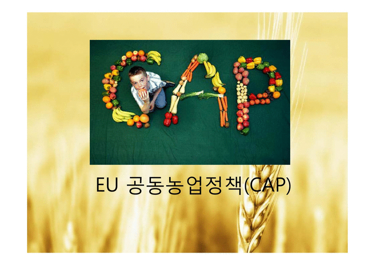 EU 공동농업정책(CAP)-1페이지