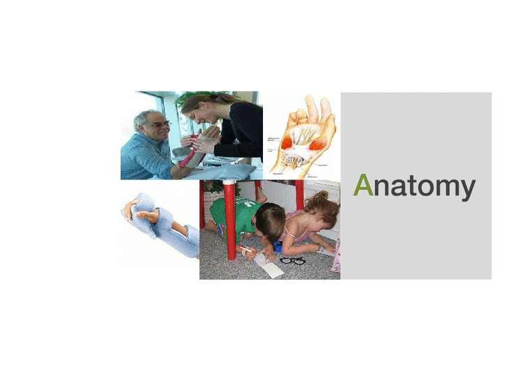 의학 수부 해부학 Anatomy - 의약학