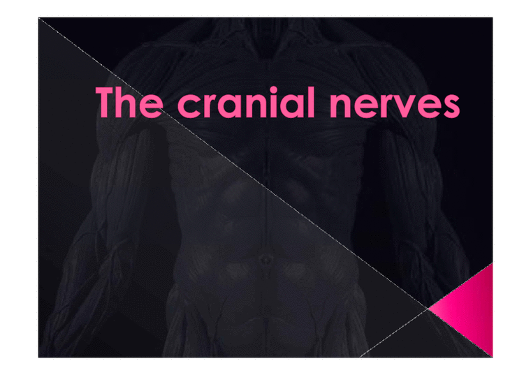의학  뇌신경 The cranial nerves 에 관해서-1페이지