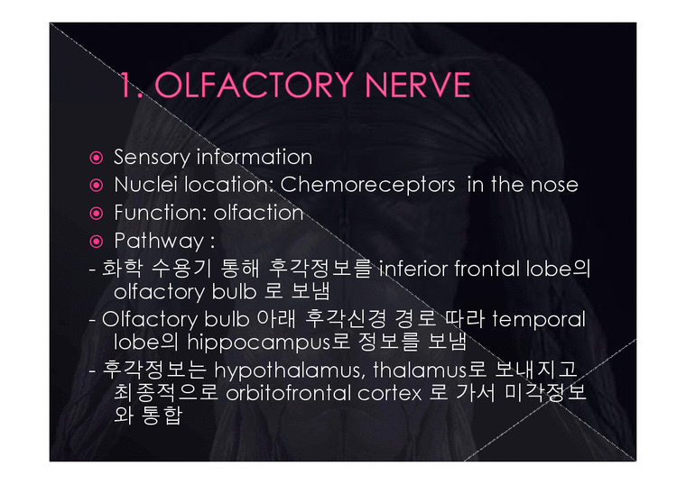 의학  뇌신경 The cranial nerves 에 관해서-2페이지