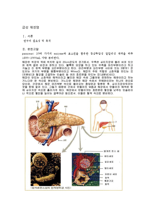 급성 췌장염 사례-1페이지