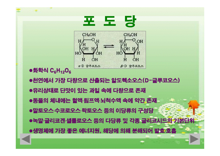전분(포도당 전분입자 전분가열 호화전분 전분의겔화 전분의노화 스테일링 전분의호정화) PPT 파워포인트 - 자연/공학