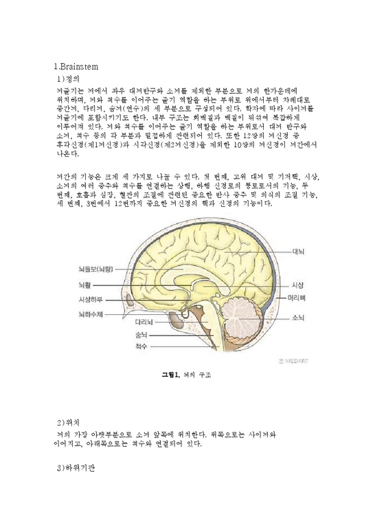 PBL  Brainstem  Spinal cord의 해부학적 구조-2페이지