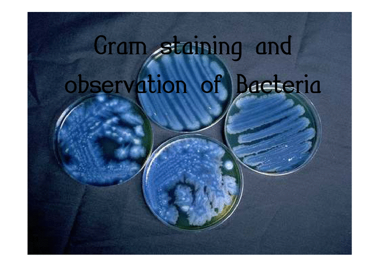 그람염색법(Gram staining)과 박테리아 관찰 실험-1페이지