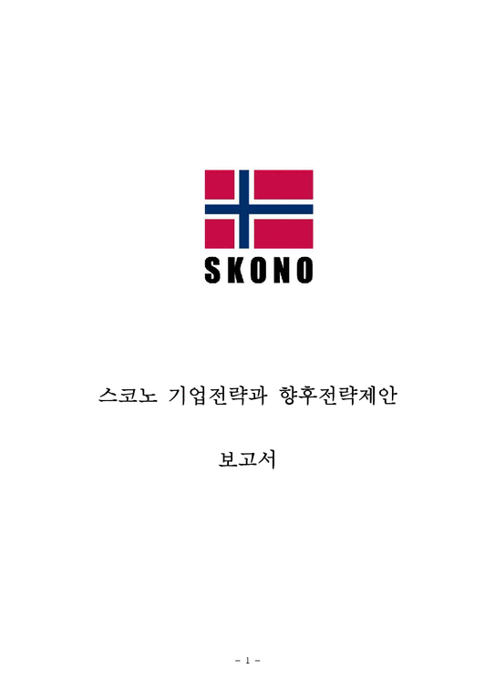 스코노 SKONO 기업분석과 한국시장진출 경영전략분석및 스코노의 미래전략제안 레포트-1페이지