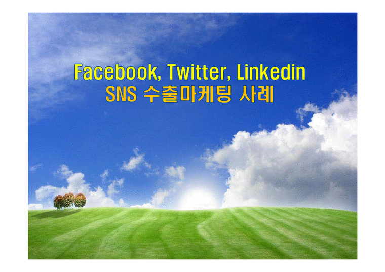 Facebook Twitter Linkedin SNS 수출마케팅 사례-1페이지