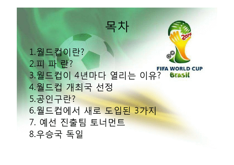 월드컵조사 - 브라질 월드컵에 대해서-2페이지