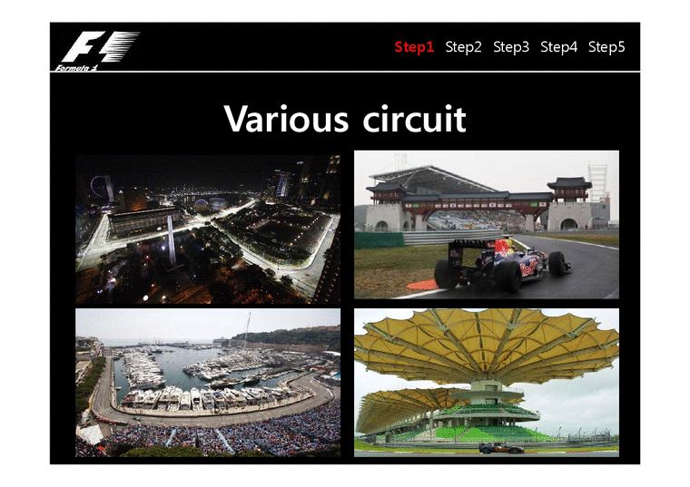 F1 마케팅 레포트-4페이지